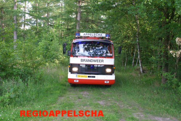 Regio Appelscha